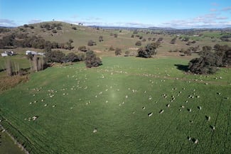 Rural / Farming commercial property for sale at 669 Greenmantle Road Bigga NSW 2583 Rural / Farming commercial property for sale at 669 Greenmantle Road Bigga NSW 2583