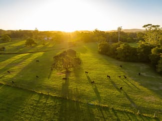 Rural / Farming commercial property sold at 115 Henrys Lane Moorland NSW 2443