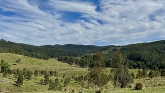 Rural / Farming commercial property sold at 1061 Eaglehawk Street Yarrowitch NSW 2354