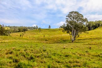 Rural / Farming commercial property for sale at 5244 Bruxner Highway Mummulgum NSW 2469 Rural / Farming commercial property for sale at 5244 Bruxner Highway Mummulgum NSW 2469