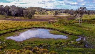 Rural / Farming commercial property for sale at 5244 Bruxner Highway Mummulgum NSW 2469 Rural / Farming commercial property for sale at 5244 Bruxner Highway Mummulgum NSW 2469