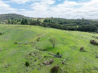 Rural / Farming commercial property for sale at 1130 Majors Creek Road Majors Creek NSW 2622 Rural / Farming commercial property for sale at 1130 Majors Creek Road Majors Creek NSW 2622
