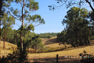 Rural / Farming commercial property sold at 97 Waters Road Mount George SA 5155 Rural / Farming commercial property sold at 97 Waters Road Mount George SA 5155