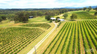 Rural / Farming commercial property for sale at 266 Deasys Road Pokolbin NSW 2320 Rural / Farming commercial property for sale at 266 Deasys Road Pokolbin NSW 2320
