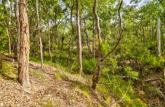Rural / Farming commercial property sold at Lot 67 Laurel St Esk QLD 4312 Rural / Farming commercial property sold at Lot 67 Laurel St Esk QLD 4312