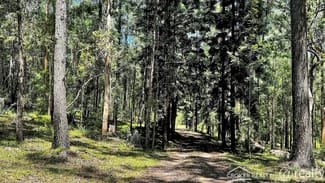 Rural / Farming commercial property for sale at 25 Dingo Gully Road Grevillia NSW 2474