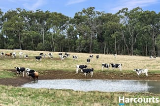 Rural / Farming commercial property sold at 210 Frys Road Leongatha South VIC 3953