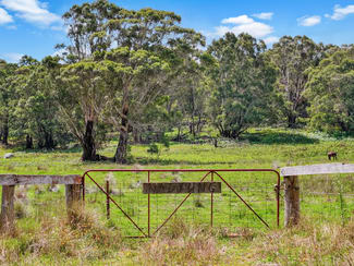 Rural / Farming commercial property sold at 195 Halls Lane Braidwood NSW 2622 Rural / Farming commercial property sold at 195 Halls Lane Braidwood NSW 2622