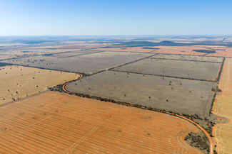 Rural / Farming commercial property sold at 83 Cornells Road Condobolin NSW 2877