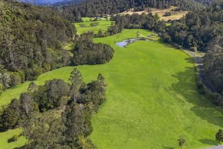 Rural / Farming commercial property for sale at 228 Brush Creek Road Cedar Brush Creek NSW 2259