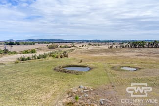 Rural / Farming commercial property for sale at 172 Hazelwood Road Stonehenge NSW 2370