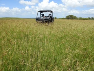 Rural / Farming commercial property sold at Lot 119 Ellangowan Myrtle Creek Road Ellangowan NSW 2470 Rural / Farming commercial property sold at Lot 119 Ellangowan Myrtle Creek Road Ellangowan NSW 2470