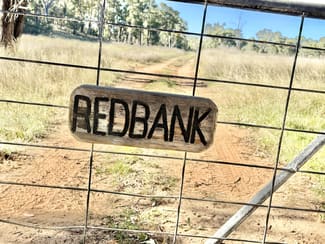 Rural / Farming commercial property for sale at 2875 Newell Highway Rocky Glen NSW 2357