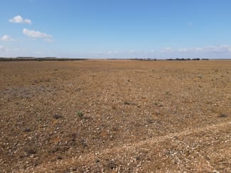Rural / Farming commercial property for sale at Lot 1 Schulzs Road Cambrai SA 5353 Rural / Farming commercial property for sale at Lot 1 Schulzs Road Cambrai SA 5353