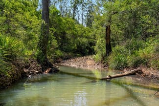 Rural / Farming commercial property for sale at 284 Peckhams Road Ewingar NSW 2469