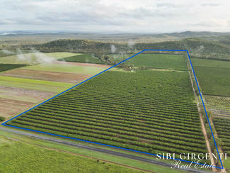 Rural / Farming commercial property for sale at 263/71 Gilmore Road Mareeba QLD 4880