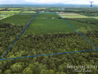 Rural / Farming commercial property for sale at 263/71 Gilmore Road Mareeba QLD 4880 Rural / Farming commercial property for sale at 263/71 Gilmore Road Mareeba QLD 4880