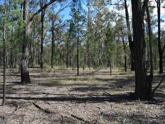Rural / Farming commercial property for sale at Lot 17 The Hut Road Inglewood QLD 4387