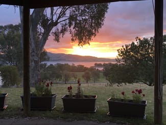 Rural / Farming commercial property for sale at 851 Lake Road Bethanga VIC 3691