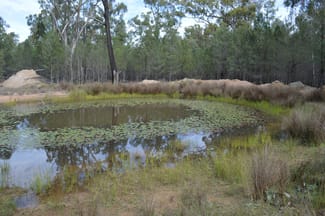 Rural / Farming commercial property for sale at Lot 17 Tin Hut Road Inglewood QLD 4387