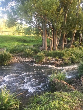 Rural / Farming commercial property for sale at 160 Upper Crystal Creek Road Upper Crystal Creek NSW 2484 Rural / Farming commercial property for sale at 160 Upper Crystal Creek Road Upper Crystal Creek NSW 2484