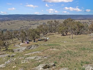 Rural / Farming commercial property sold at 2027 Ophir Road Rock Forest NSW 2795 Rural / Farming commercial property sold at 2027 Ophir Road Rock Forest NSW 2795