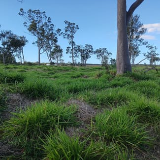 Rural / Farming commercial property for sale at 1/133 Price Street Kensington QLD 4670 Rural / Farming commercial property for sale at 1/133 Price Street Kensington QLD 4670