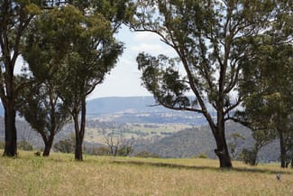 Rural / Farming commercial property for sale at 410 Honeysuckle Falls Road Tarana NSW 2787