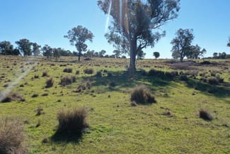 Rural / Farming commercial property sold at 631 Glenelg Road Bundarra NSW 2359