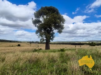 Rural / Farming commercial property sold at 296 Cloyna West Road Cloyna QLD 4605 Rural / Farming commercial property sold at 296 Cloyna West Road Cloyna QLD 4605
