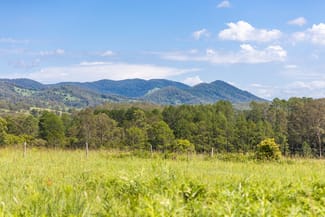 Rural / Farming commercial property sold at 30 Wynters Road Burrell Creek NSW 2429 Rural / Farming commercial property sold at 30 Wynters Road Burrell Creek NSW 2429