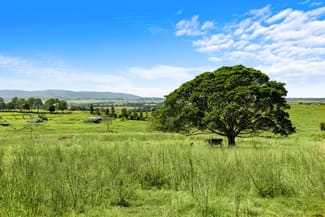 Rural / Farming commercial property for sale at 675 Pines Road Edenville NSW 2474