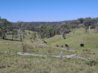 Rural / Farming commercial property for sale at Lot 14 Silver Spur Redgate Road Silver Spur QLD 4385 Rural / Farming commercial property for sale at Lot 14 Silver Spur Redgate Road Silver Spur QLD 4385