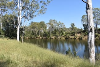 Rural / Farming commercial property for sale at lot 103 Pidgeons Road Tiaro QLD 4650 Rural / Farming commercial property for sale at lot 103 Pidgeons Road Tiaro QLD 4650
