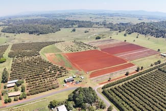Rural / Farming commercial property for sale at 767 Peeramon Road Peeramon QLD 4885