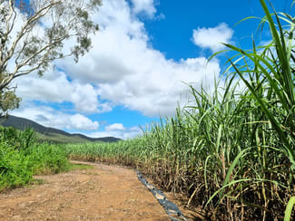 Rural / Farming commercial property for sale at Oakenden QLD 4741 Rural / Farming commercial property for sale at Oakenden QLD 4741