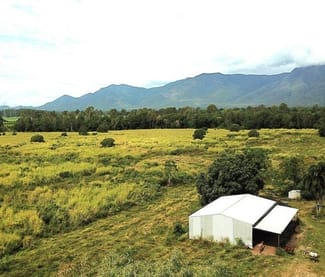 Rural / Farming commercial property for sale at Lot 9 Milanesio Road Kennedy QLD 4816