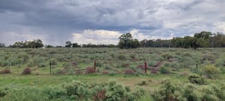 Rural / Farming commercial property sold at Lots 1,2,3,4 Blue Gum Oxley NSW 2711 Rural / Farming commercial property sold at Lots 1,2,3,4 Blue Gum Oxley NSW 2711