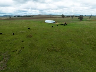 Rural / Farming commercial property for sale at 1706 Braidwood Road Tarago NSW 2580 Rural / Farming commercial property for sale at 1706 Braidwood Road Tarago NSW 2580