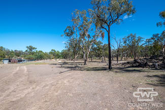 Rural / Farming commercial property for sale at 1043 Wallangra Road Wallangra NSW 2360 Rural / Farming commercial property for sale at 1043 Wallangra Road Wallangra NSW 2360