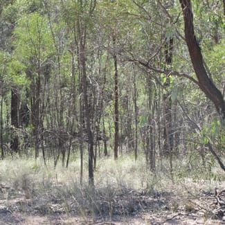 Rural / Farming commercial property sold at Lot 154 Lucky Road Tara QLD 4421 Rural / Farming commercial property sold at Lot 154 Lucky Road Tara QLD 4421