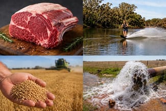 Rural / Farming commercial property for sale at 291 Murrawong Road Murray Bridge SA 5253 Rural / Farming commercial property for sale at 291 Murrawong Road Murray Bridge SA 5253
