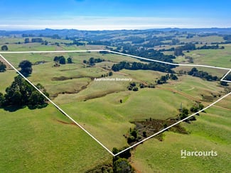 Rural / Farming commercial property for sale at 00 Dudfields Road Mount Hicks TAS 7325 Rural / Farming commercial property for sale at 00 Dudfields Road Mount Hicks TAS 7325