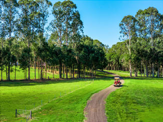 Rural / Farming commercial property sold at 730 Lismore Road Nashua NSW 2479 Rural / Farming commercial property sold at 730 Lismore Road Nashua NSW 2479