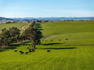 Rural / Farming commercial property sold at 478 Illawong Road Jugiong NSW 2726