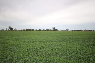 Rural / Farming commercial property for sale at 34 Stone Lane Rochester VIC 3561