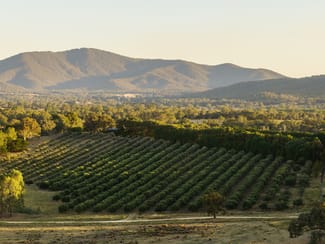 Rural / Farming commercial property sold at 2490 Samaria Road Moorngag VIC 3673 Rural / Farming commercial property sold at 2490 Samaria Road Moorngag VIC 3673