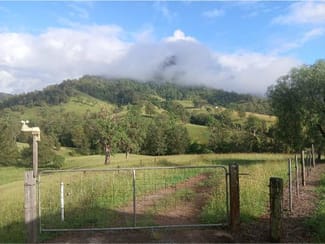 Rural / Farming commercial property for sale at 127 Tobins River Road Mount Seaview NSW 2446 Rural / Farming commercial property for sale at 127 Tobins River Road Mount Seaview NSW 2446