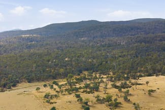 Rural / Farming commercial property sold at 411 Bryants Lane Deddington TAS 7212