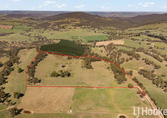 Rural / Farming commercial property for sale at Meadow Flat NSW 2795 Rural / Farming commercial property for sale at Meadow Flat NSW 2795